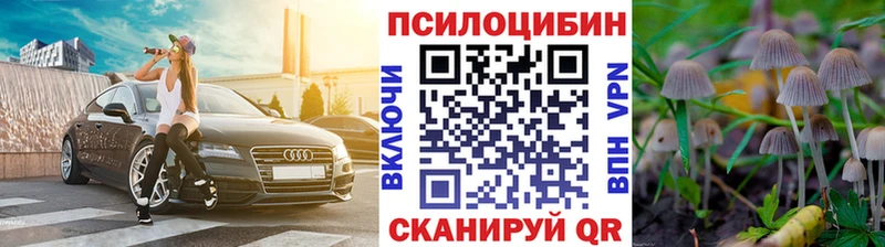 Псилоцибиновые грибы ЛСД  Новопавловск 